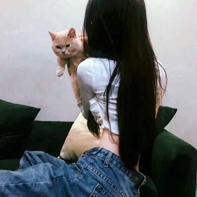玫瑰楼迷影